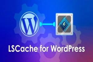 LiteSpeed Cache: The Best Settings for WordPress Websites