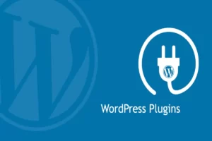 A WordPress Plugin: The Complete Guides 2023