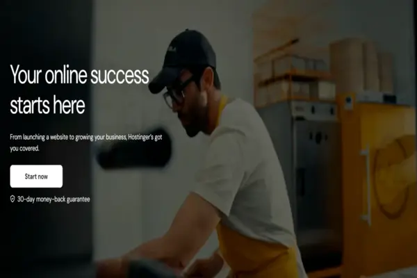 Hostinger Best WordPress Hosting Providers